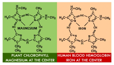 see  Overview of Magnesium http://is.gd/VDMag