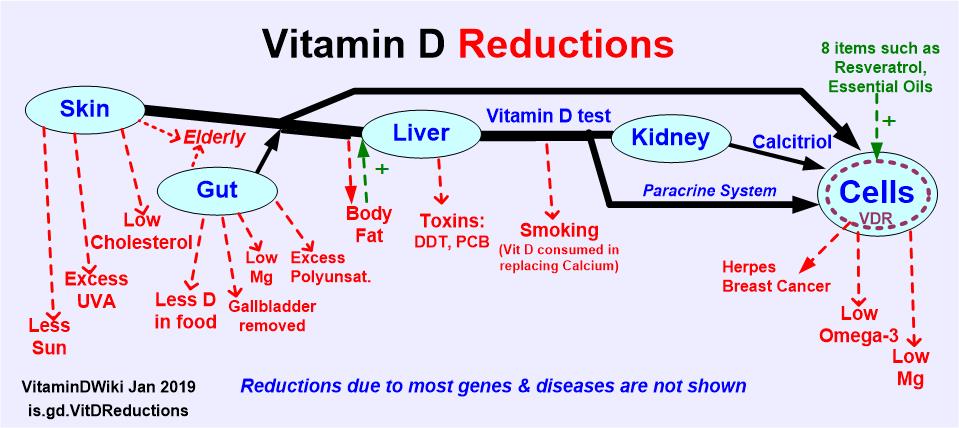 Reasons For Low Response To Vitamin D