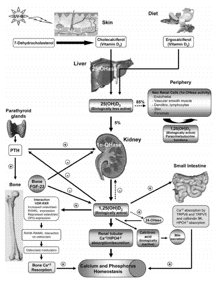 from PDF in the same File Gallery