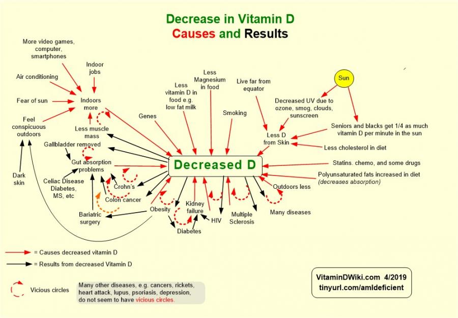 Possible Vitamin D Interactions