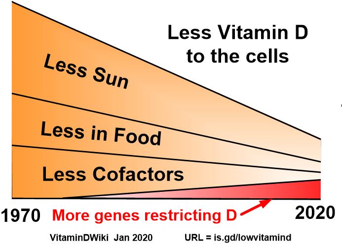 Gluten Intolerance With Notes On Vitamin D Vitamindwiki