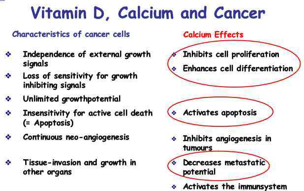 Calcium and cancer prevention