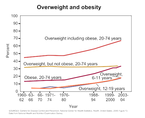 Obesity WikiPedia.gif