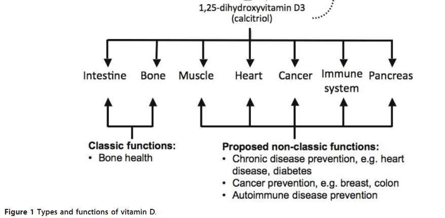 see wikipage: http://www.vitamindwiki.com/tiki-index.php?page_id=2143