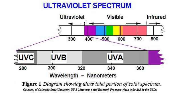 Overview Uv And Vitamin D Vitamindwiki