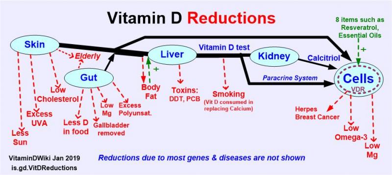 Reductions in Vitamin D is.gd/VitDReductions