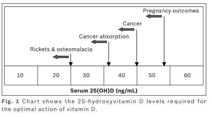 Vitamin D levels needed  at is.gd/neonate_vitD