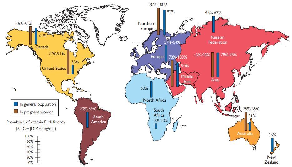 Vitamin D Global Perspective - Holick June 2013 | VitaminDWiki