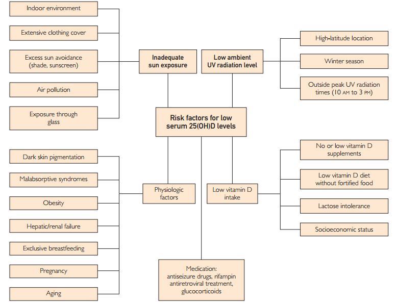 Risk Factors For Vitamin D Deficiency Vitamindwiki