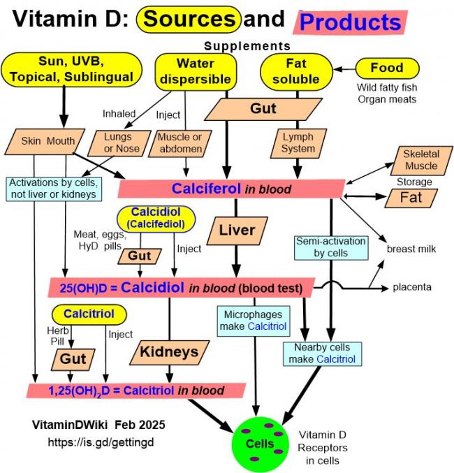 http://vitamindwiki.com/tiki-index.php?page_id=5644