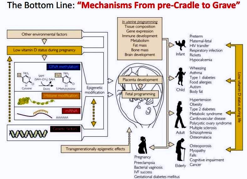 Debacle 113 mechanisms.jpg