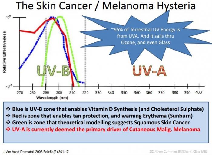 Debacle 125 skin cancer.jpg