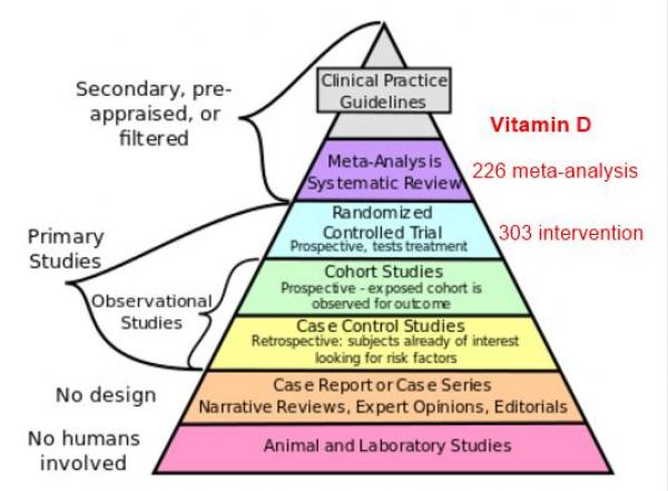 Vitamin D Pyramid
