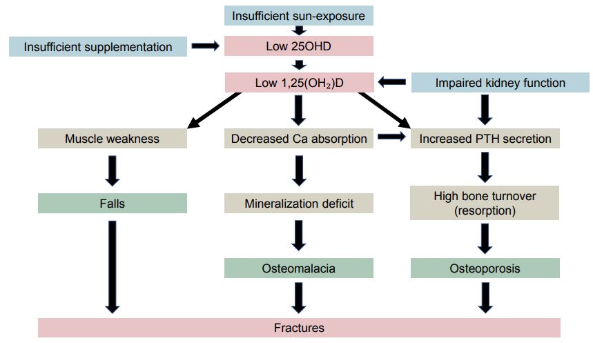 Low D and Fractures VDW#9027