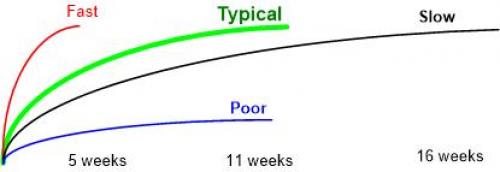 Response time Vit D VDW 9923