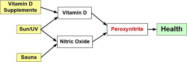 Peroxynitrite VDW 9996