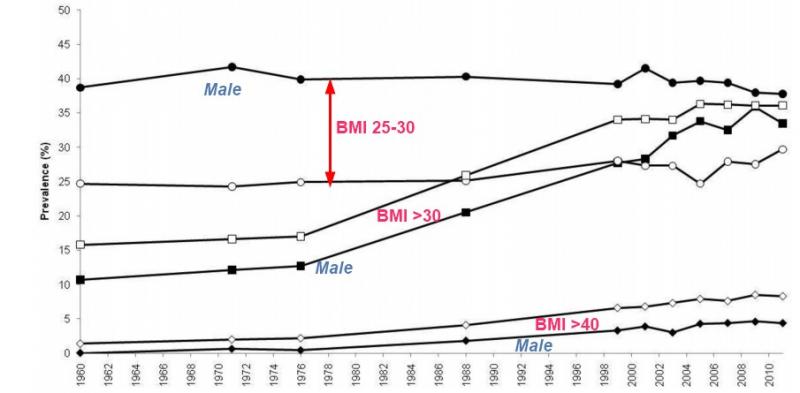 BMI Trends - VDW 11165