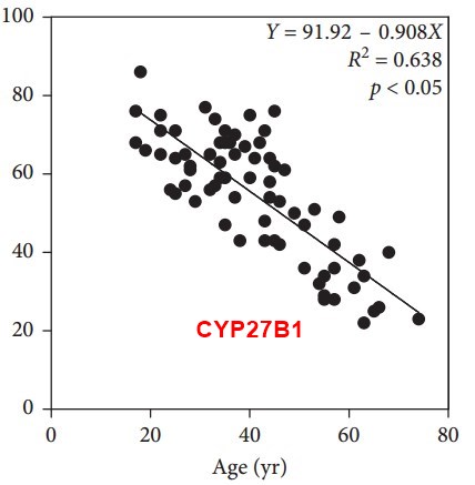 CYP27B1 Age