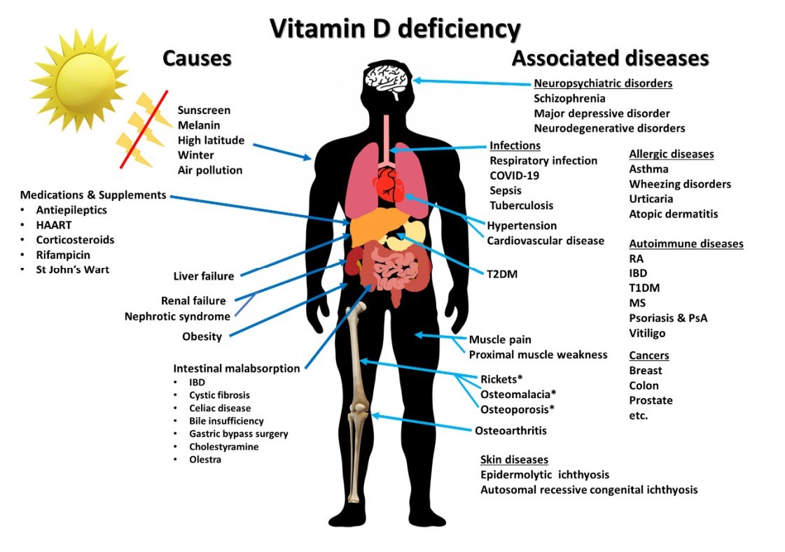 Health Problems - Holick  VDW#11843