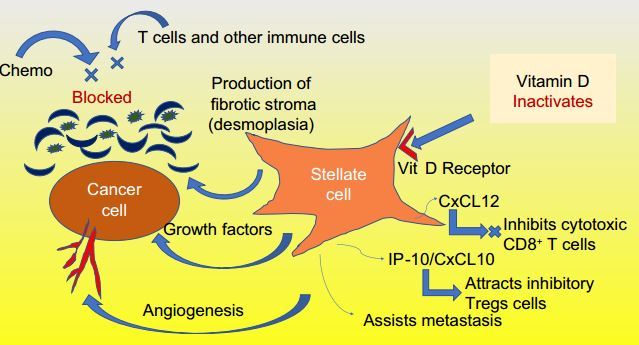 Pancreatic cancer prevention and treatment by alternates