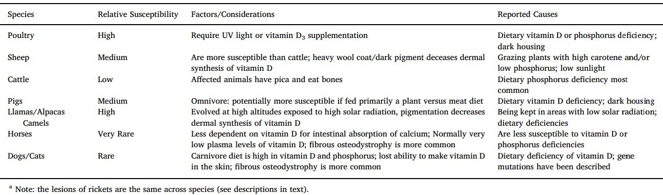 what causes low phosphorus in dogs