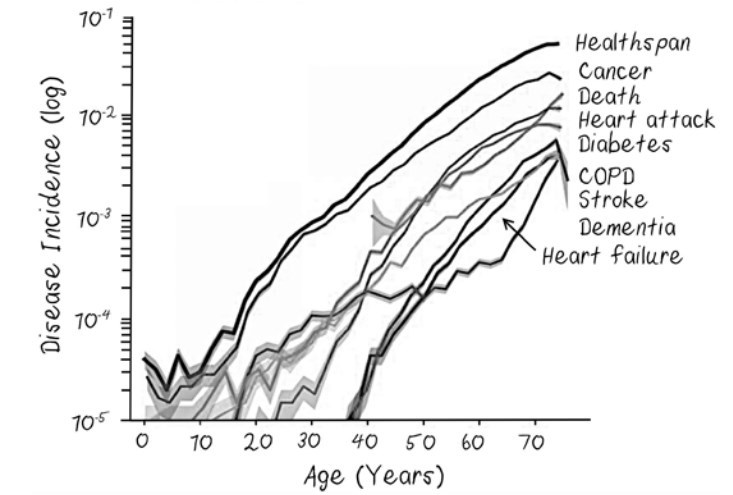 Aging and longevity - Longevity Wiki