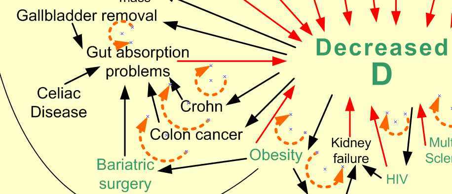 And Diet For Gallbladder Disease