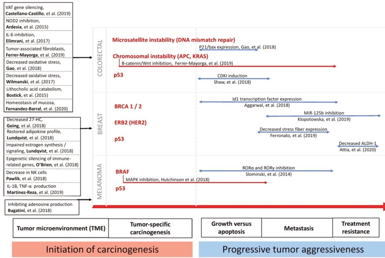 Vitamin D Prevents And Treats Cancer In Many Ways May 2021 Vitamindwiki 2773