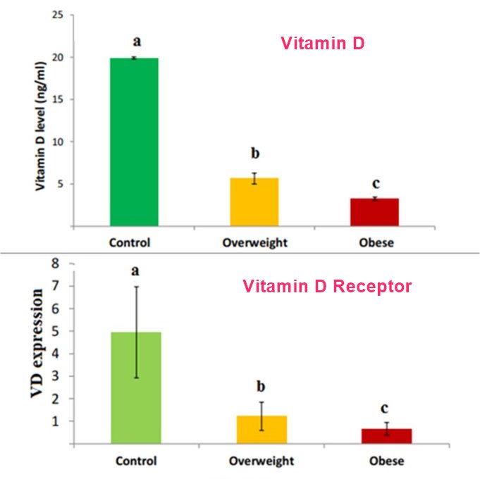 https://vitamindwiki.com/tiki-download_wiki_attachment.php?attId=20247