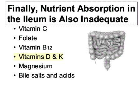 Gluten Intolerance With Notes On Vitamin D Vitamindwiki