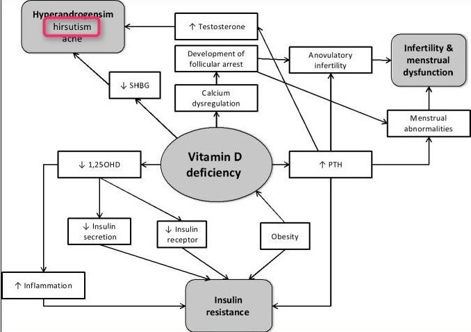 Excess Body Hair In Women Hirsutism Not Much Evidence