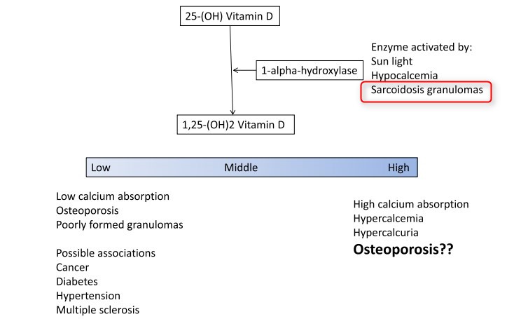 Vitamin D Levels In Sarcoidosis Diet - digigala