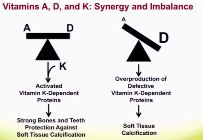 Vitamin D Is Good But Must Balance Vitamins A And K2 To