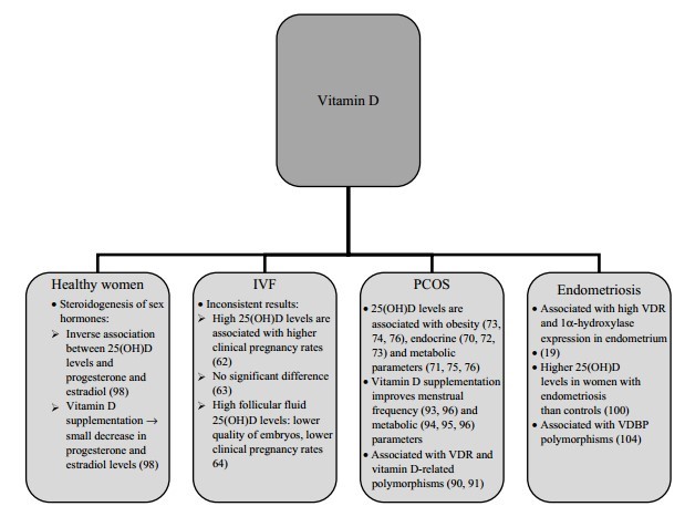 Vitamin D And Fertility Lerchbaum 2012 2014 Vitamindwiki