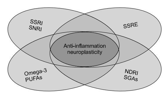 Omega 3 prevents PTSD and some mood disorders Aug 2015