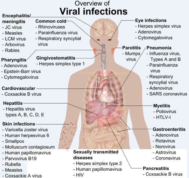 Herpes Virus Infection While Pregnant Increases Autism Risk By 2 X Vitamin D Not Mentioned Feb 2017 Vitamindwiki