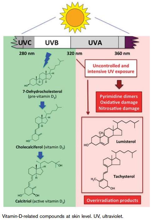 vitamin skin d cancer treatment UVB perhaps UVA skin (Vitamin causes cancer, prevents D)