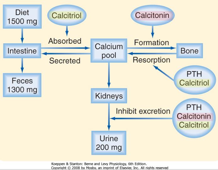 Calcitriol Calcitriol FDA