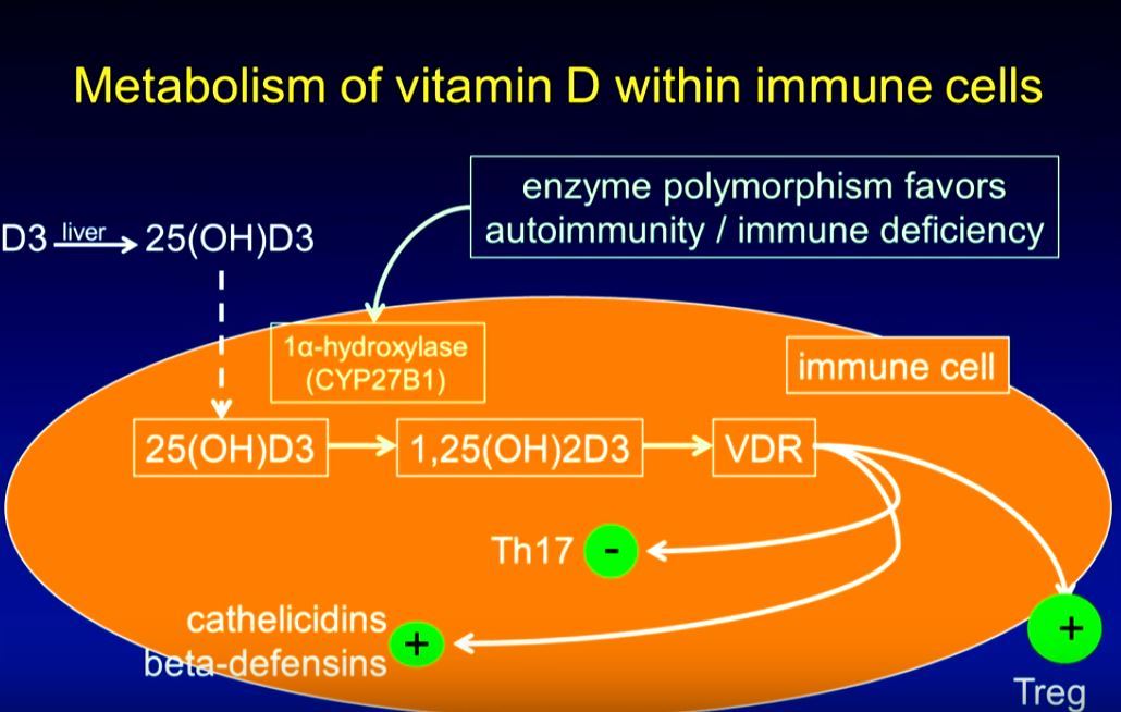 Vitamin D Has Treated Multiple Sclerosis And Autoimmune