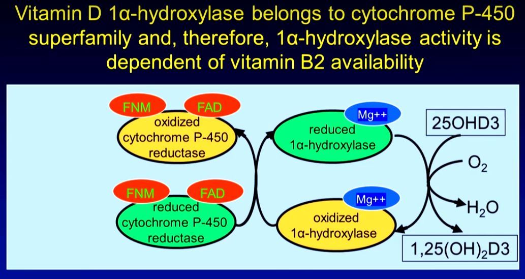 10000 Iu Of Vitamin D During Pregnancy Resulted In